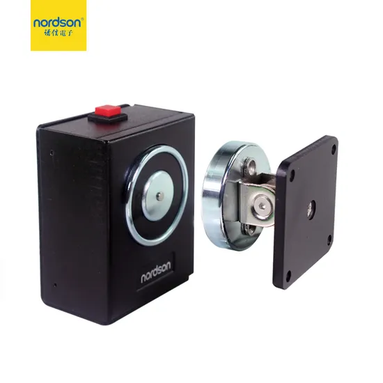 Черный DC12V/24V настенный электрический дверной держатель дверной стопор